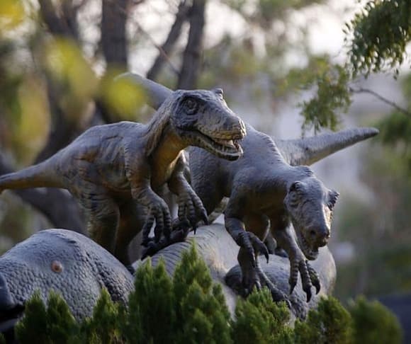 GettyImages-2235120186 Phanerozoic