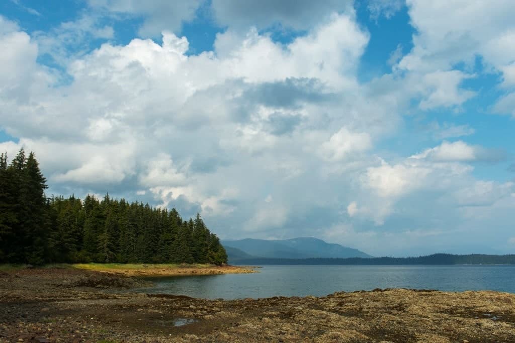 GettyImages-1176327217 Alaskan shoreline - golden orb
