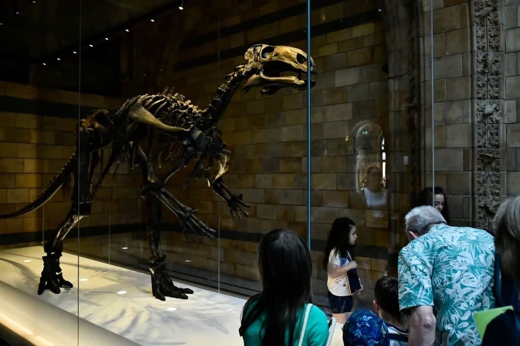 GettyImages-1648149629 dinosaurs