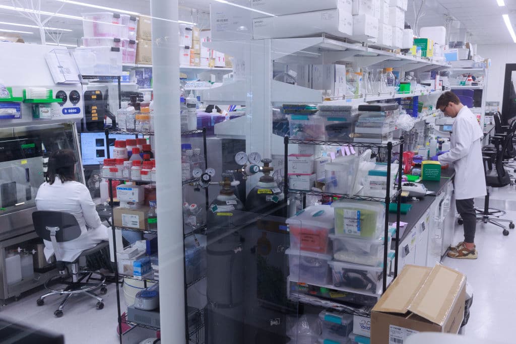 DODODEXTINCTION Colossal Laboratories and Biosciences scientists work in their workspace at BioLabs Pegasus Park in Dallas, TX on August 29, 2024. (Photo by Shelby Tauber for The Washington Post via Getty Images)