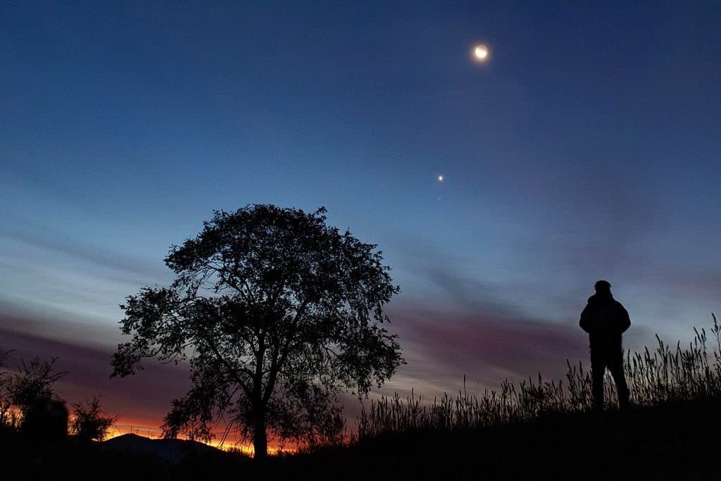 GettyImages-2236626252 Venus