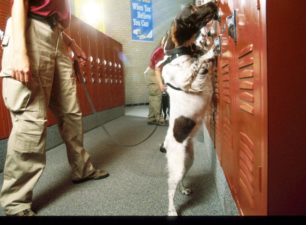 GettyImages-776080 school Locker